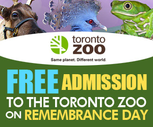 多伦多动物园11月11日国殇日9:30-11:00免费入场