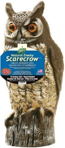 Great Horned Owl Natural Enemy Scarecrow 菜园防鸟