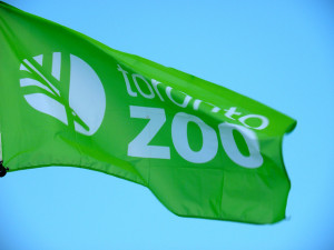 Toronto Zoo多伦多动物园年票7.5折特卖，7种套餐45元起