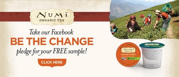 免费3盒有机茶Numi Organic Tea K-Cups