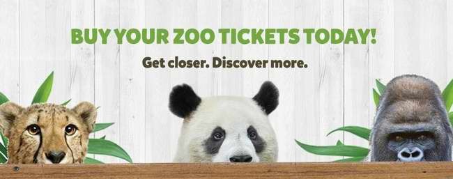 网购多伦多动物园Toronto Zoo门票8.5折，8月31日前有效