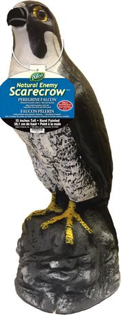 Peregrine Falcon Natural Enemy Scarecrow 菜园花园防鸟兽1折1.5元清仓