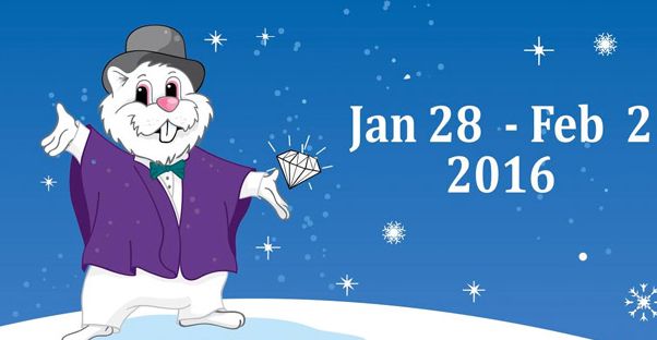  1月28日至2月2日免费参观2016年第60届威利土拨鼠节
