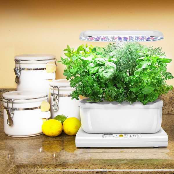  种菜种花四季如荫，净化室内空气！Miracle-Gro 室内小花园套装6.1折 123.6元特卖，附送种子！