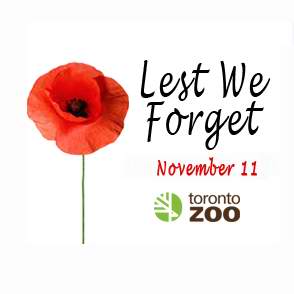  就在明天！多伦多动物园11月11日（星期五）国殇日 9:30-11:00免费入园！