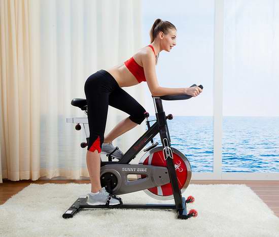  Sunny Health & Fitness SF-B1002 皮带版 豪华静音家用动感健身自行车5.5折 240.4加元包邮！