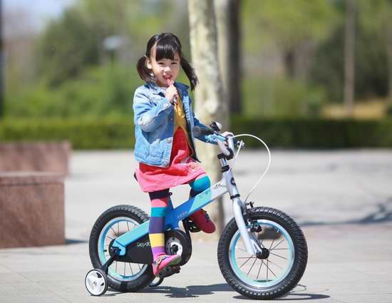  历史新低！RoyalBaby Matte Buttons 14英寸儿童自行车6.2折 103.71加元限时特卖并包邮！