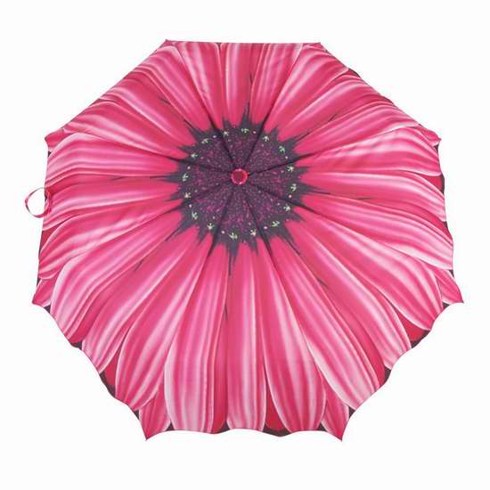  历史新低！Austin House 紫红色雏菊 时尚折叠式自动雨伞 12.43加元限时特卖！