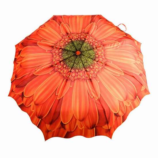  历史新低！Austin House 非洲菊 时尚折叠式自动雨伞 10.09加元限时特卖！