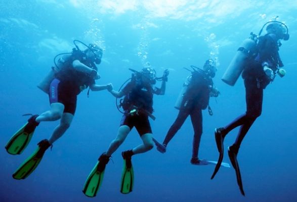  带着孩子一起探索大海吧！Dive Aqua零基础PADI水肺潜水证书课程 349加元，原价 984加元