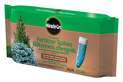  历史最低价！Miracle-Gro 12-6-12 常青植物肥料钉12件套 5.99加元！