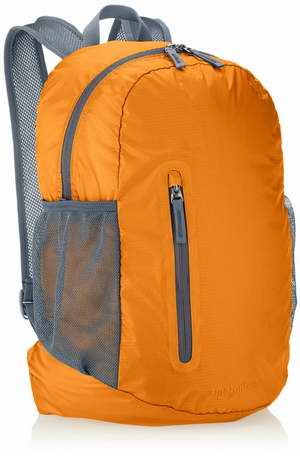  AmazonBasics 35L 超轻可折叠便携式双肩背包 14.49-15.27加元限时特卖！4色可选！