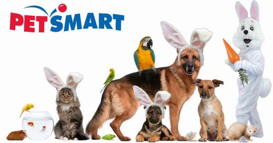  Petsmart 宠物用品 国庆特卖！全场满100加元立省30加元！