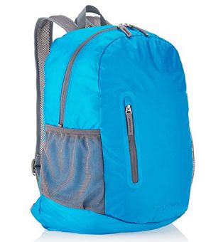  AmazonBasics 35L 超轻可折叠便携式双肩包 13.93加元，原价 22.99加元