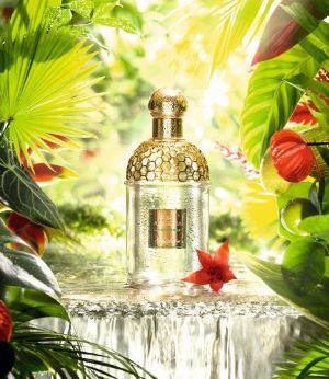  法国娇兰 Guerlain 热带青柠花草水语淡香水 59.6加元（120ml），原价 112.01加元，包邮