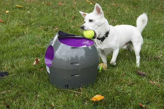  近史低价！PetSafe 宠物狗自动网球发射器6.2折 155.94加元包邮！