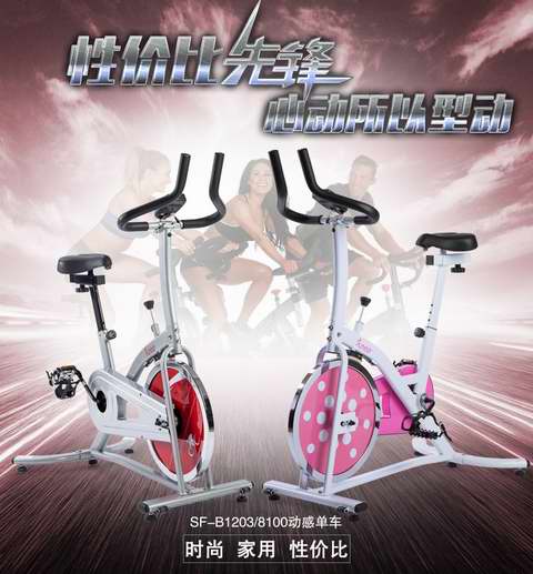  Sunny Health and Fitness SF-B1203 炫彩动感 家用静音健身自行车5.5折 188.54加元包邮！