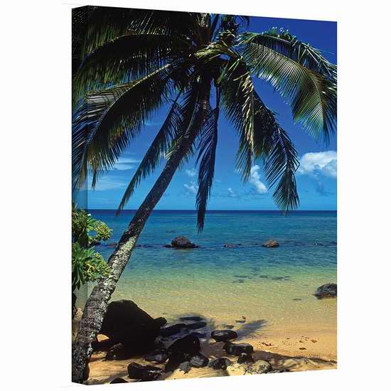  历史新低！Art Wall 美丽的Animi海滩 16x24英寸风景帆布装饰画0.8折 12.95加元清仓！