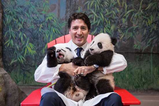  Toronto Zoo 多伦多动物园 年票限时特惠8.5折！