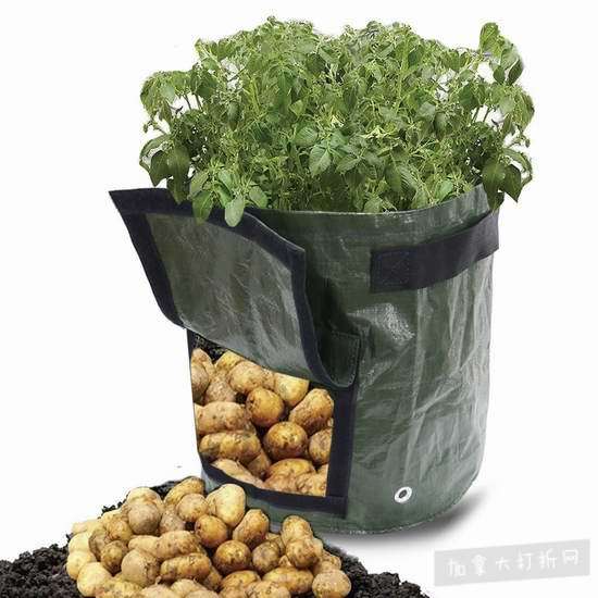  历史新低！VIVOSUN 7加仑 翻盖式 土豆/番茄/洋葱/胡萝卜 种植袋2件套 9.99加元清仓！