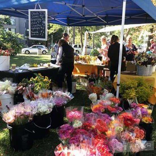  逛Toronto Flower Market多伦多情人节花市 让情人节的花也变得与众不同