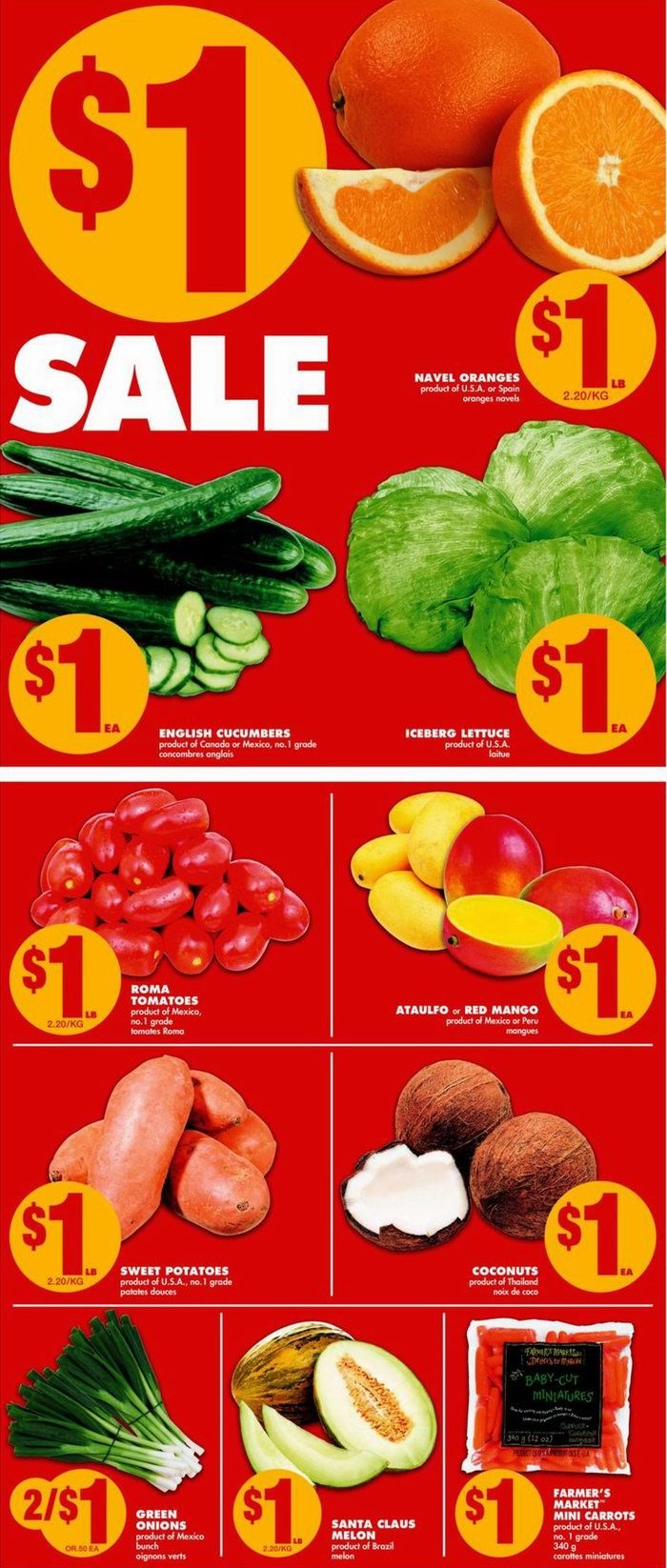 flyer-002