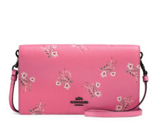  COACH Clutch 花卉蝴蝶結印花单肩包 112.5加元，原价 225加元，包邮