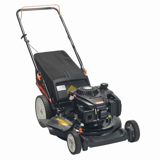 Remington 159cc 21 5.3 159.2