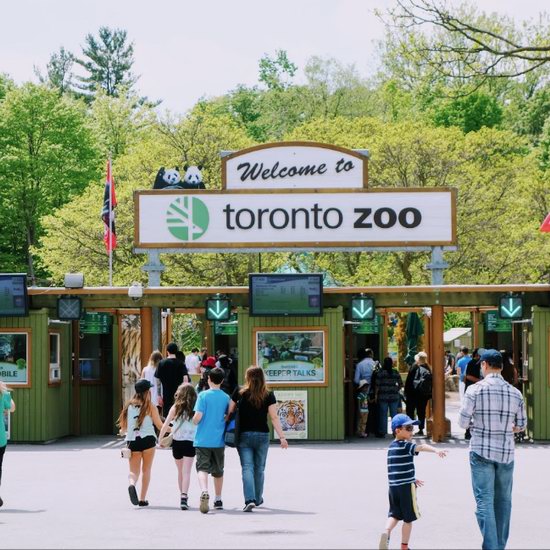 Toronto Zoo 多伦多动物园 12月26日，门票半价！