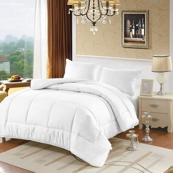  Unique Home 仿鹅绒四季Queen被子 34.99加元限量特卖！