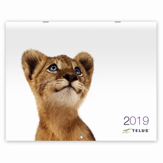  Telus 向客户免费寄送2019年动物月历！