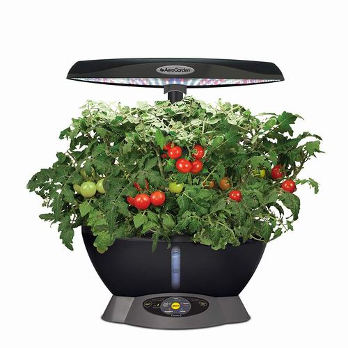  金盒头条：AeroGarden Classic 6室內有机苗圃小花园及种子套装 129.95加元，原价 201.16加元，包邮