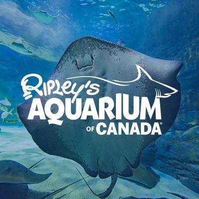  Ripley's Aquarium 多伦多水族馆 门票5折！仅限今日现场购买！