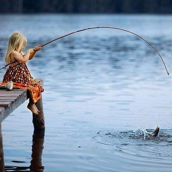  安省本周内免费钓鱼！整个暑假免费学钓鱼！内附钓鱼秘籍和钓点！