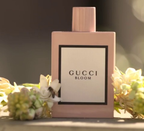  Gucci 古驰 Bloom繁花盛宴花园 女士香水 50毫升 94.5加元，原价 116加元，包邮