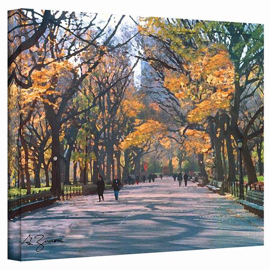  超级白菜！Art Wall 纽约中央公园 24x32英寸帆布装饰画0.7折 12.01加元清仓！
