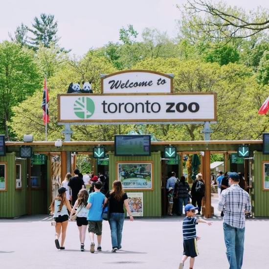  Toronto Zoo 多伦多动物园 45周年庆！8月15日门票5.5折，低至10.45加元！内附庆祝活动安排！