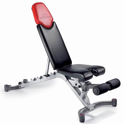  历史最低价！Bowflex Adjustable Bench 5.1哑铃椅 199加元，原价 298.98加元，包邮