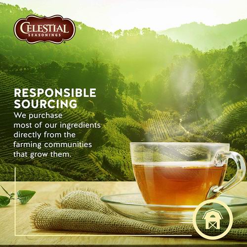  Celestial Seasonings 节日季节性最喜欢 不含咖啡因 草药茶1盒（含20袋） 3.64加元起！