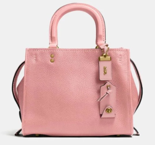  Coach Rogue 25 手提包/斜挎包（2色）3.9折 297.5加元，原价 750加元，包邮