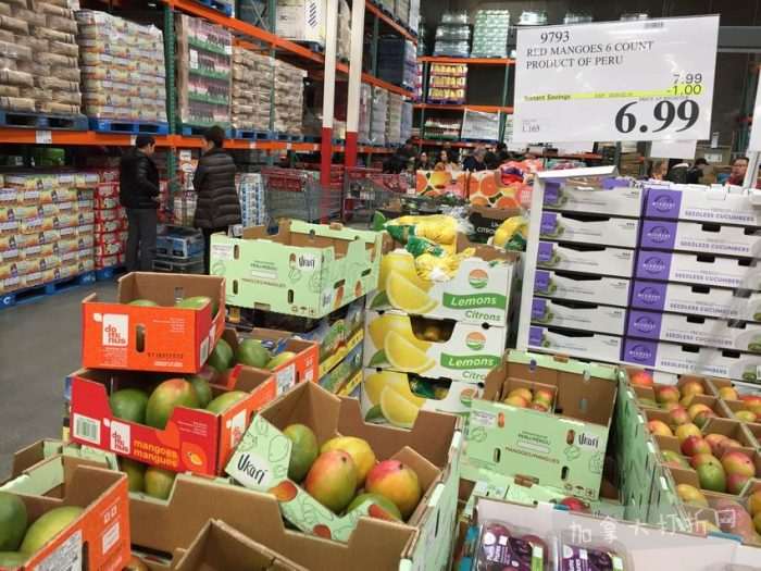 独家！【加西版】Costco店内实拍，有效期至2月23日！Bio-Oil护肤油.99、Glysomed护手霜.89、液体胶原蛋白.99、烤排骨.99、烟熏三文鱼.99！