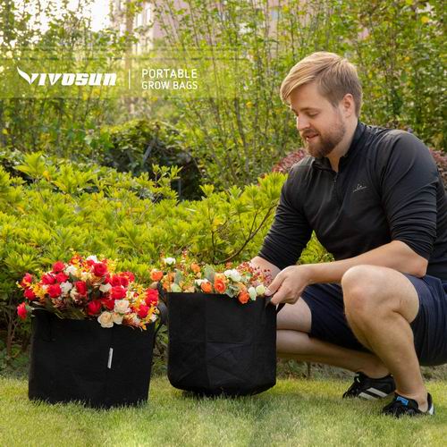  VIVOSUN 1加仑带手柄重型加厚无纺布花盆种植袋 5件套 18.99加元