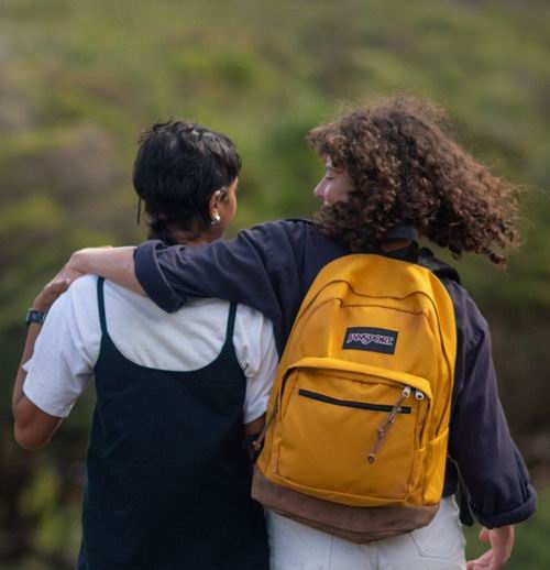  JanSport  时尚双肩包 7折 31.49加元起特卖