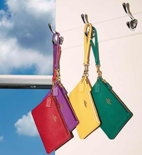  Coach Outlet精选印花/纯色/老花/拼色拉链腕包3.2折起，低至25美元+包邮无关税！