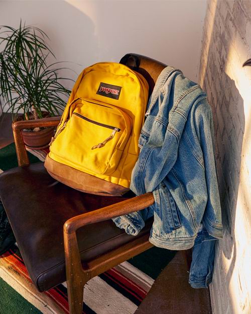  折扣升级！Jansport 网红双肩包 5折 24加元起特卖