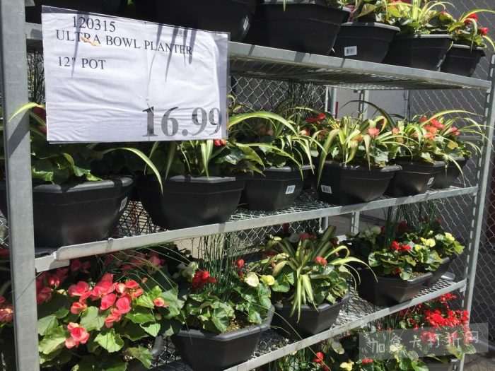 独家！【加东版】Costco店内实拍，有效期至5月16日！菜苗.99、灭蚊灯.99、红磷虾油.99、辅酶Q10胶囊.99、大西洋鳕鱼立减、帝王蟹.99、Clorox消毒巾.99！