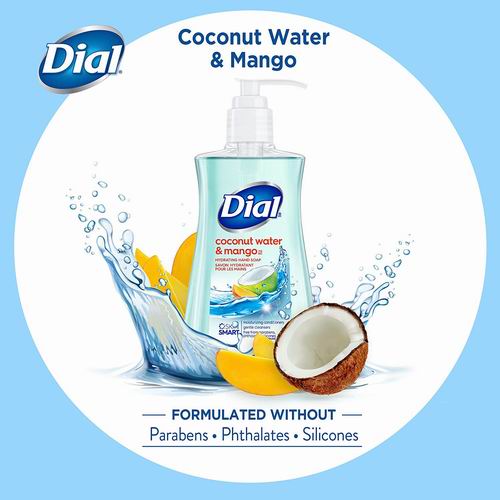  Dial 抗菌保湿洗手液（221毫升）2.47加元起，多种味道可选
