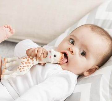  Sophie la girafe网红款长颈鹿超软婴儿牙胶 22.64加元（原价 29.99加元）