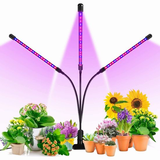  Tonpvou 30W 3灯头 育苗神器 自动定时 LED植物培育生长灯6.5折 28.03加元限量特卖并包邮！