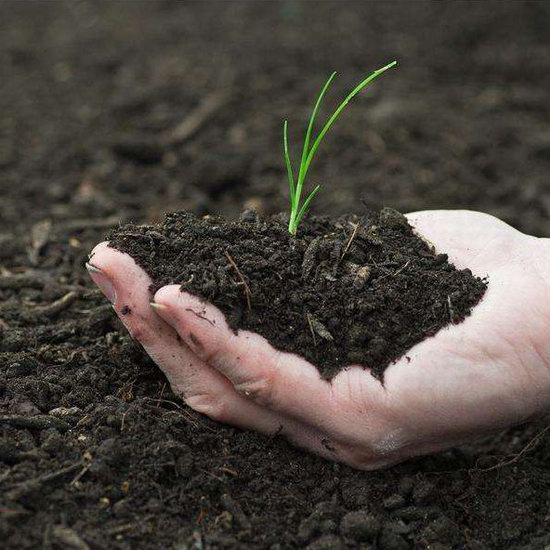  4-7月期间，多伦多市府免费送2袋堆肥土壤！